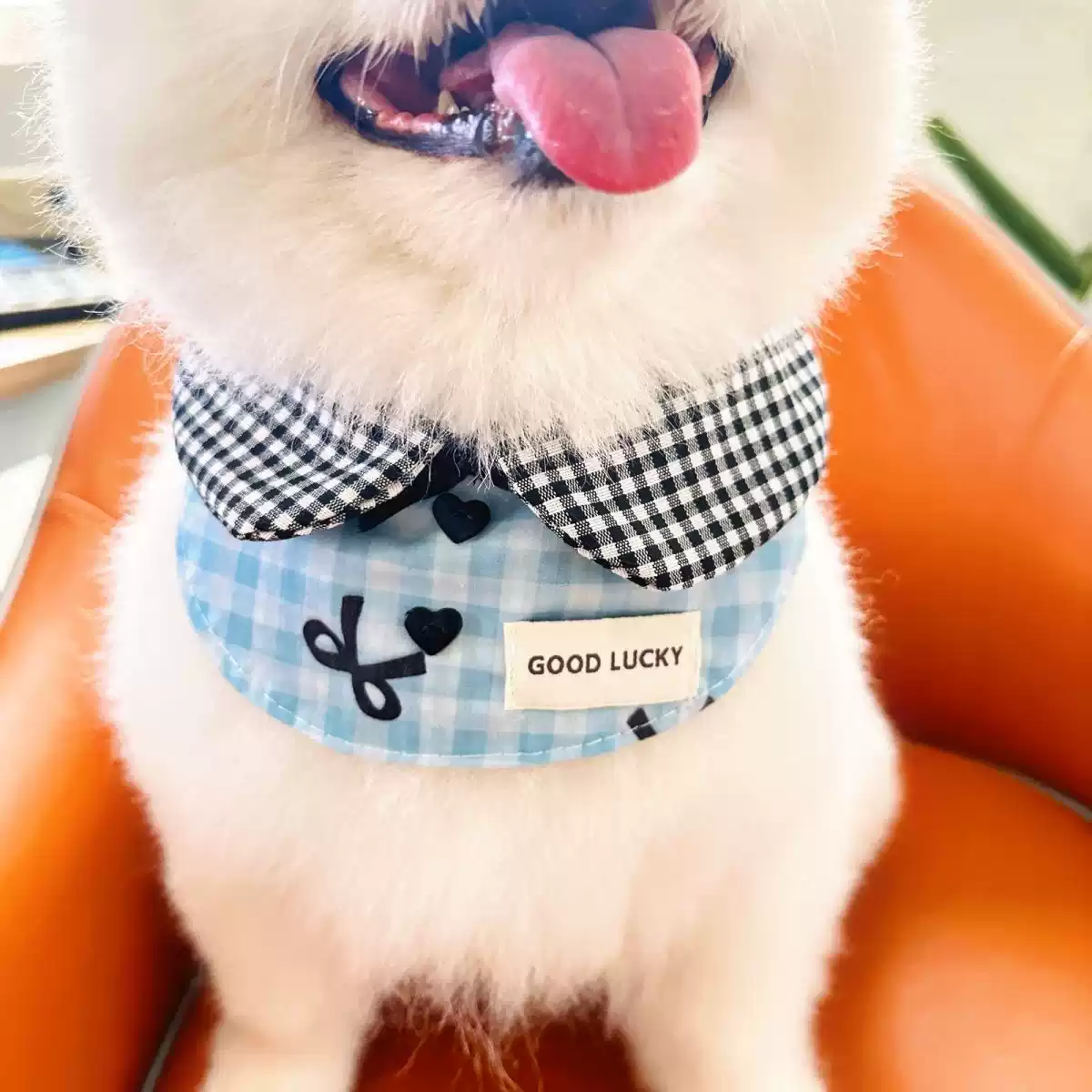 Cute Pet Lace Bib Scarf - Handmade Triangular Weave Decorative Collar