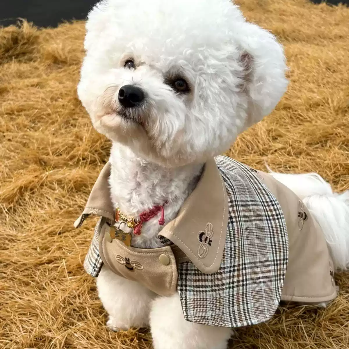 Retro Detective Cape with Plaid and Tie for Small & Medium Dogs - Four Seasons British Style Outfit