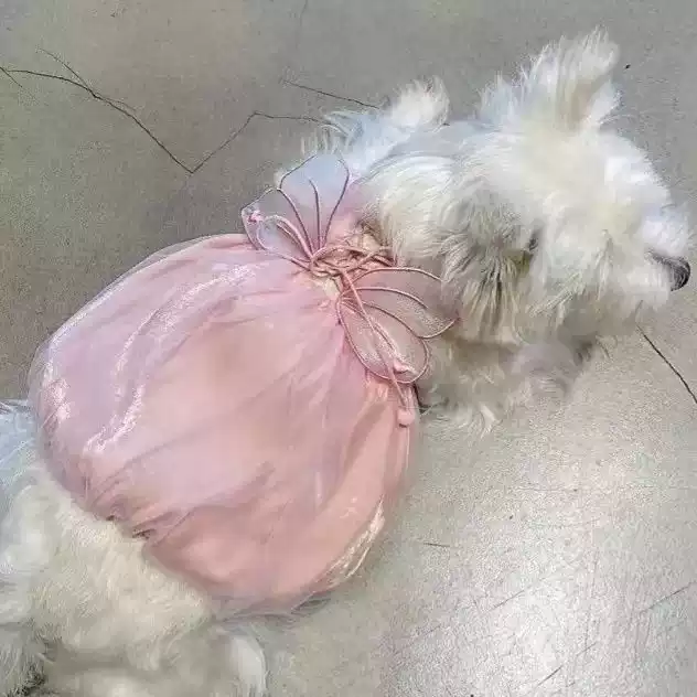 Pet Spring/Summer Shiny Wing Princess Camisole Dress - Two-Legged for Dogs & Cats