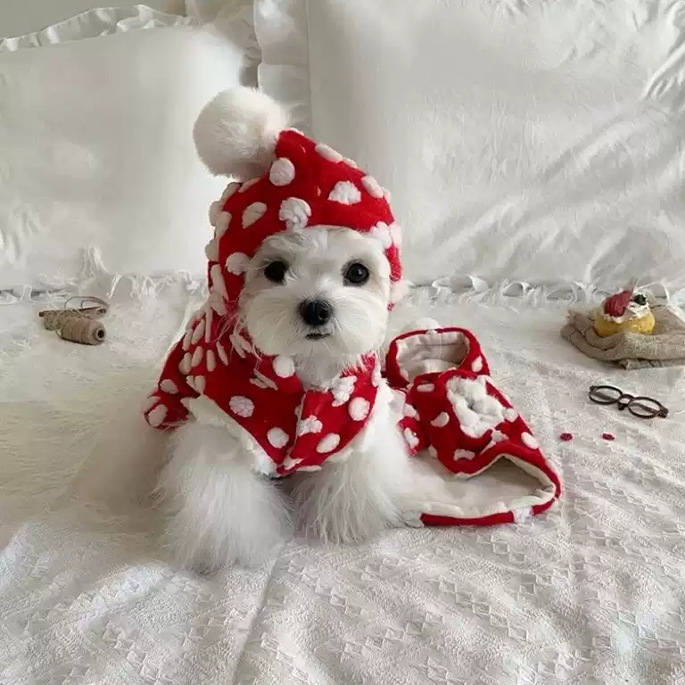 Small Breed Dog Fleece-Lined Vest - Red Polka Dot, New Year & Christmas Theme