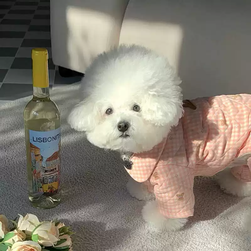 Four-Legged Cotton Dog Jacket for Small Dogs - Winter & Autumn Pet Apparel