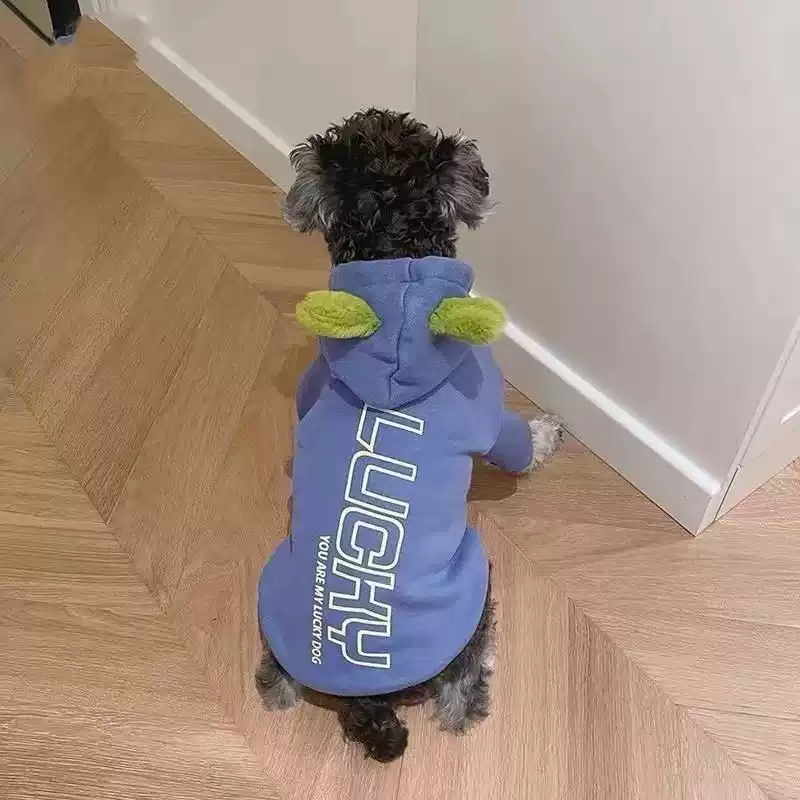 Dog & Cat Sweatshirt for Autumn & Winter - Suitable for Small Breeds