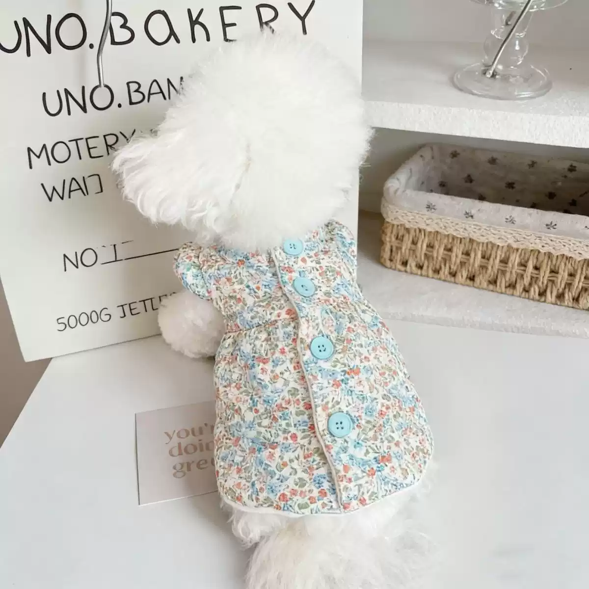 Autumn/Winter New Floral Ruffled-Sleeve Padded Coat Dress for Dogs & Cats