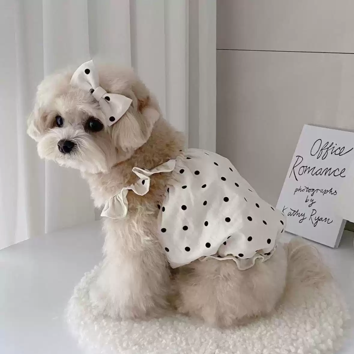 Cute Pet Dress - Vest Style for Small Dogs and Cats