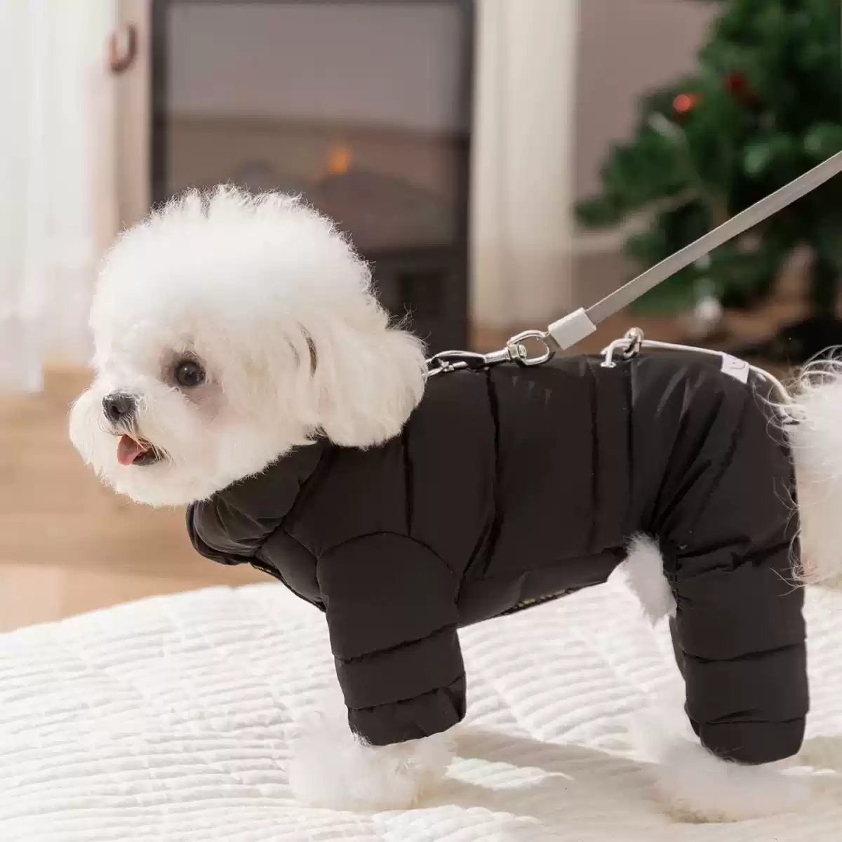 2025 New Autumn & Winter Cotton Dog Clothes for Small Breeds