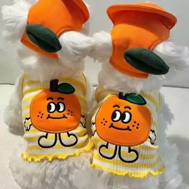 Small Pet Spring/Summer Vest - Casual Basic Style