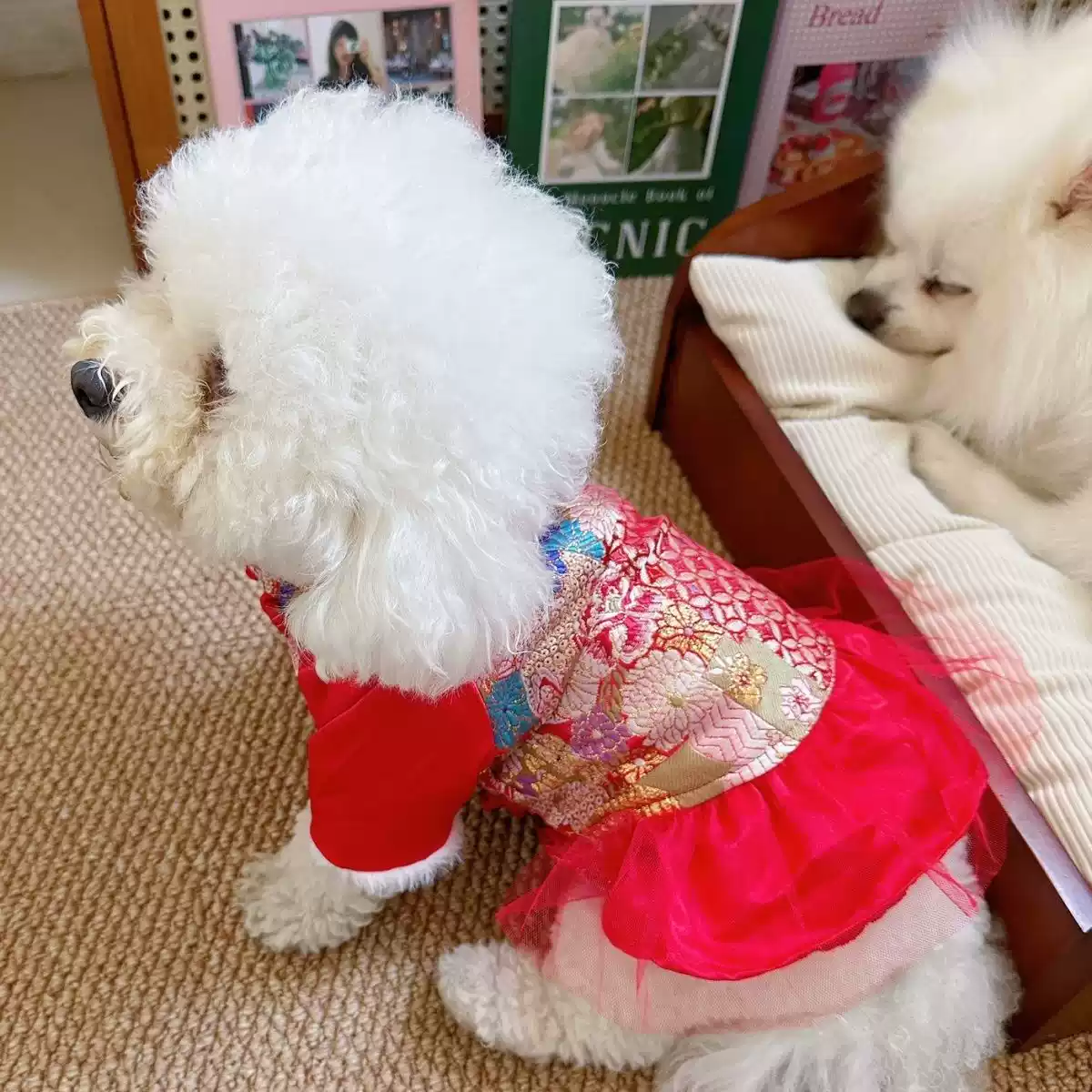 Pet New Year Festive Traditional Outfit Winter/Autumn Dress for Small Dogs & Cats