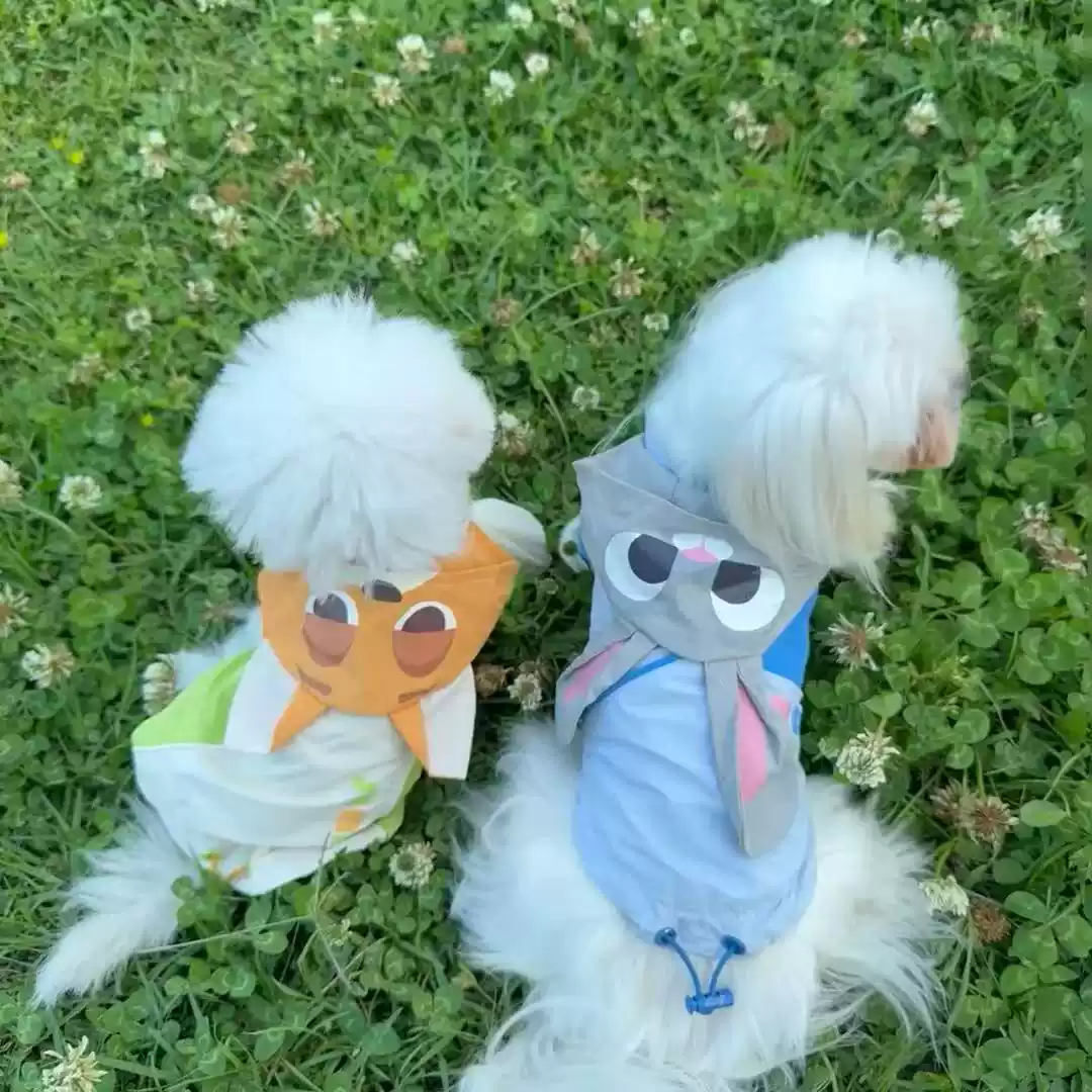 Autumn & Winter Waterproof Dog Jacket for Schnauzer, Bichon Frise, Poodle, Shiba Inu, West Highland White Terrier