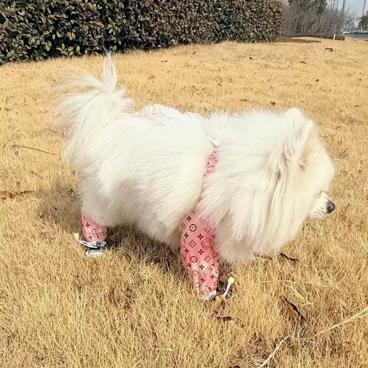 Small and Medium Dog All-Season Anti-Dirty Four-Legged Pants for Outdoor Walking