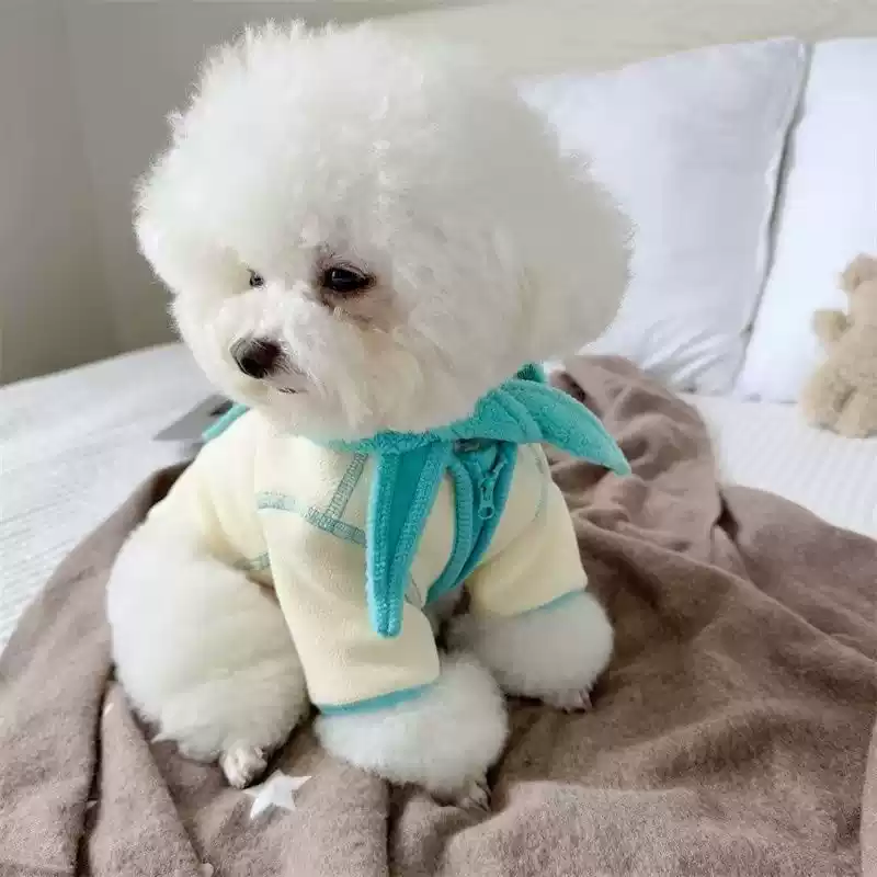 New Removable Hood Pet Coat for Small and Medium Dogs & Cats (Autumn/Winter)