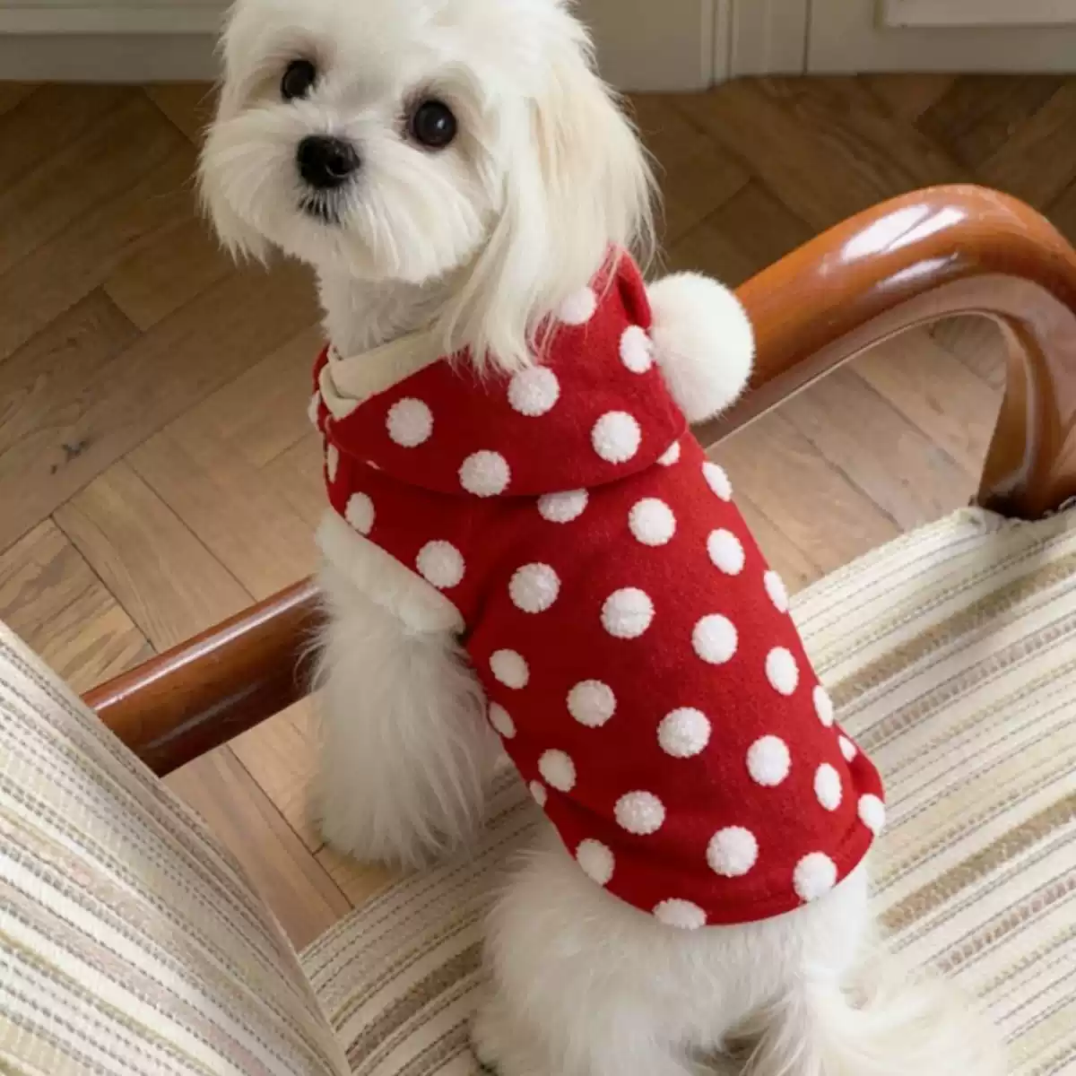 Pet Autumn & Winter Polka Dot Fleece-Lined Warm Vest New Year Coat for Small Dogs (Teddy, Bichon) & Cats
