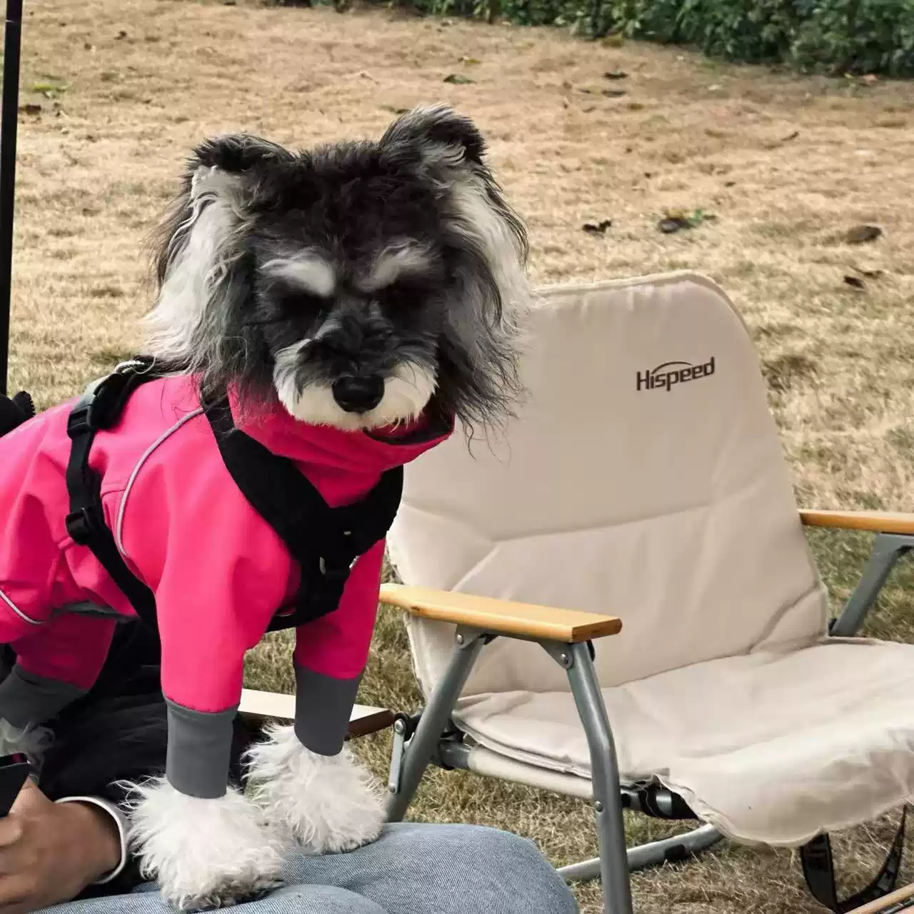 Small Four-Legged Waterproof Outdoor Jacket for Dogs, Anti-Dirty Bright Color