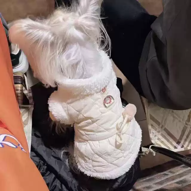 Small Dog & Cat Winter Padded Coat with Leash Clip - Warm Fall/Winter Pet Jacket
