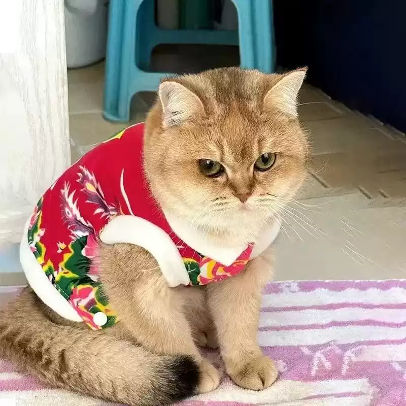 Winter Fleece-Lined Warm Pet Clothes for Small to Medium Dogs