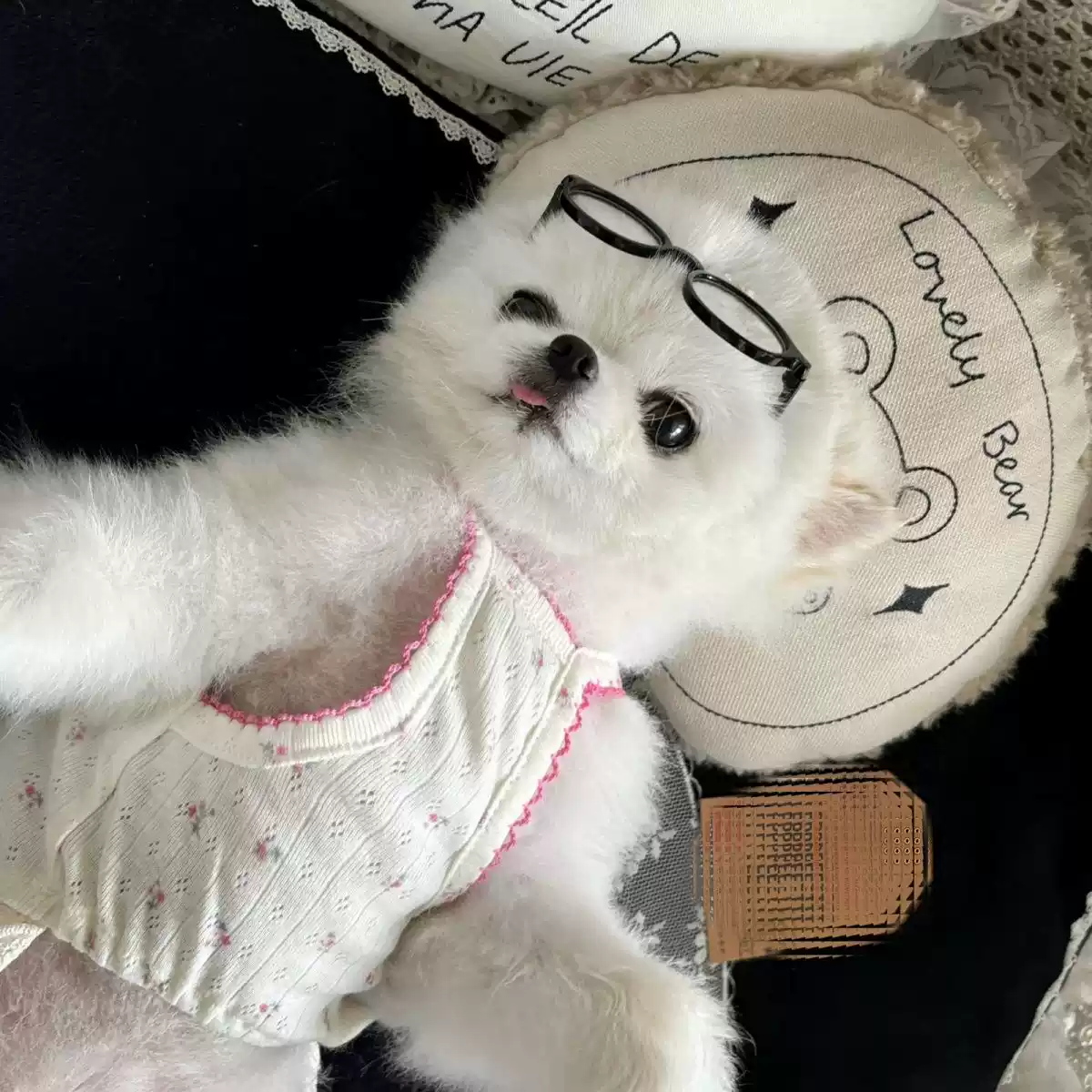 Pet Dress for Small Dogs & Cats, Summer Pink Ballet Style with Small Floral Lace