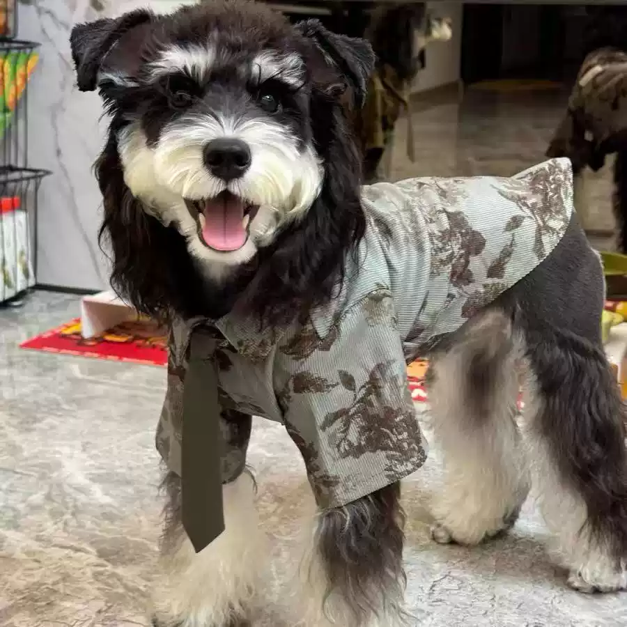 Pet Shirt, Japanese Retro Style for Small Dogs & Cats, Spring & Summer Anti-Shedding