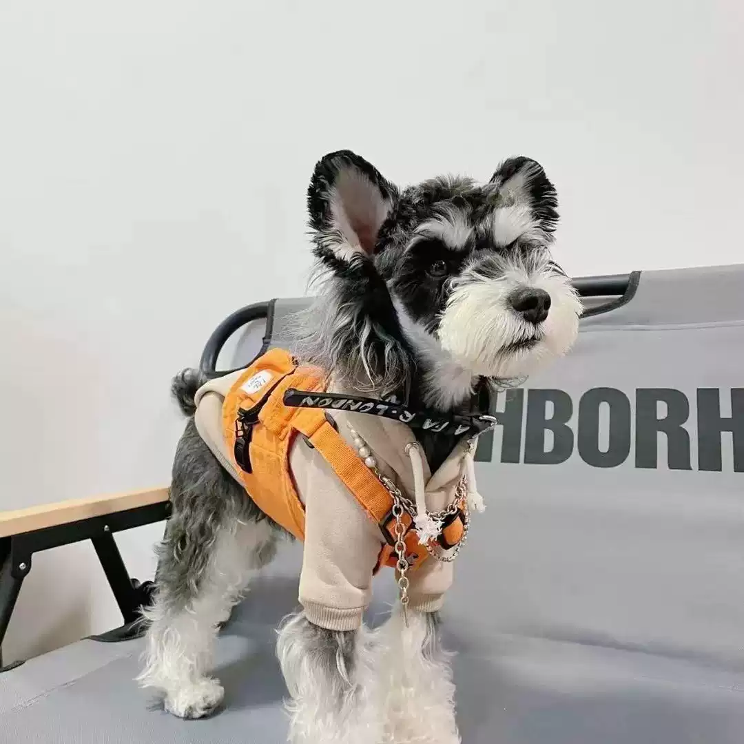 Spring & Autumn Dog Workwear Vest, Trendy Apparel for French Bulldog, Schnauzer, Bichon Frise, Poodle, Shiba Inu, West Highland White Terrier