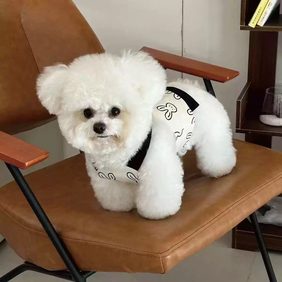 Summer Thin Traction Sleeveless Vest for Small Dogs & Cats