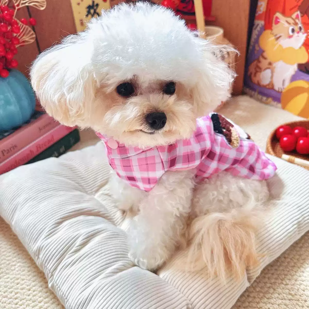 Winter Plaid Padded Dog Vest with Windproof and Snow-Resistant Protection