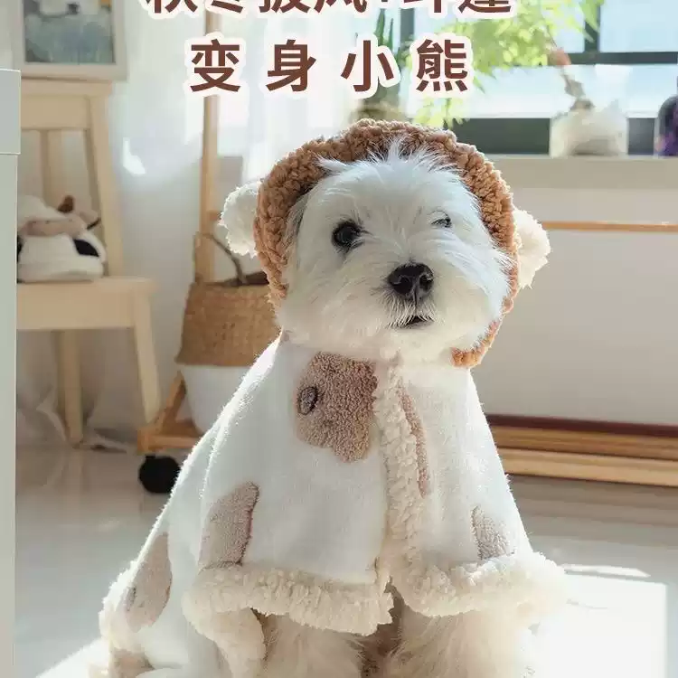 Small Dog Warm Cloak Blanket - Bear Style, Autumn/Winter Outdoor Wear