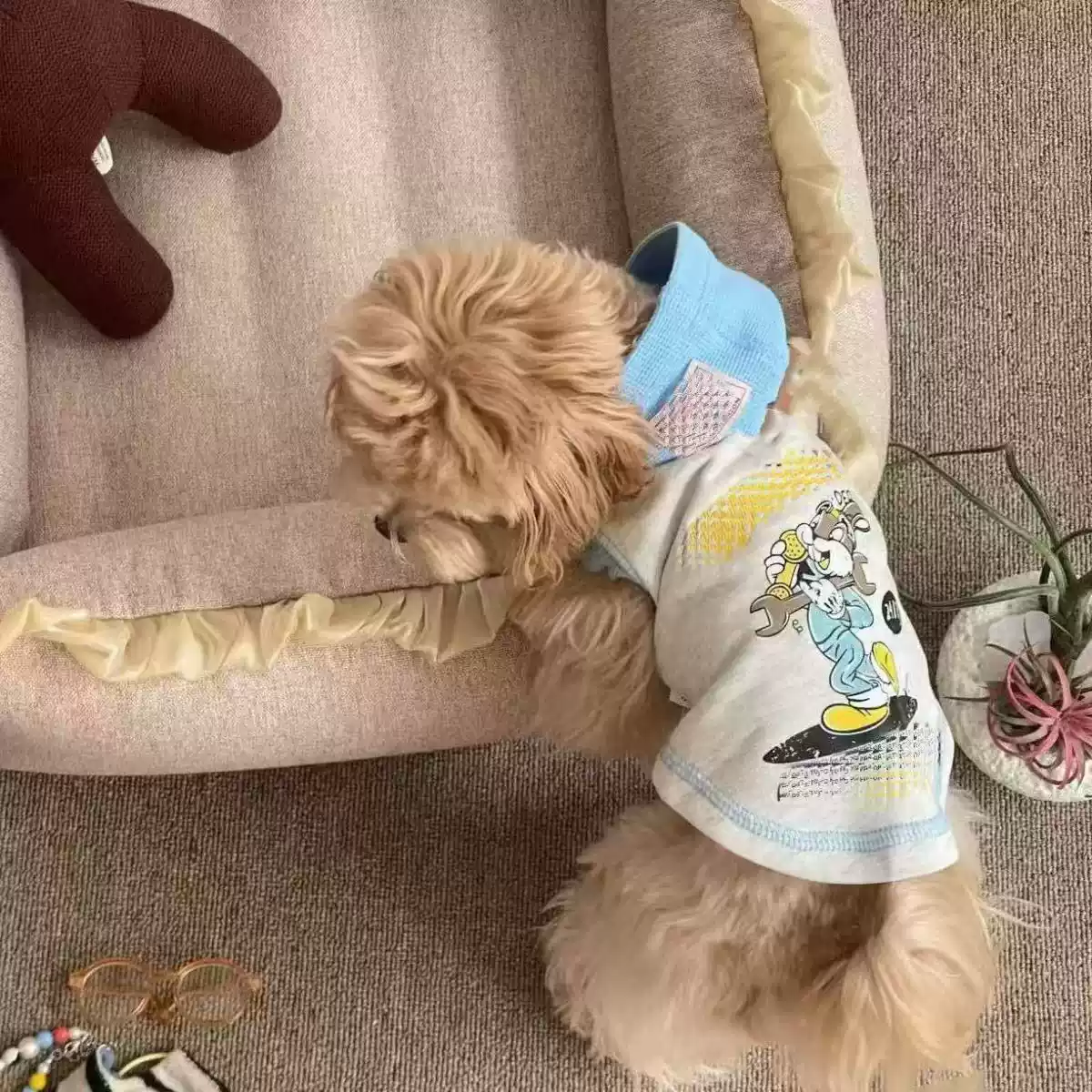 Spring Hooded Sweatshirt for Small Dogs