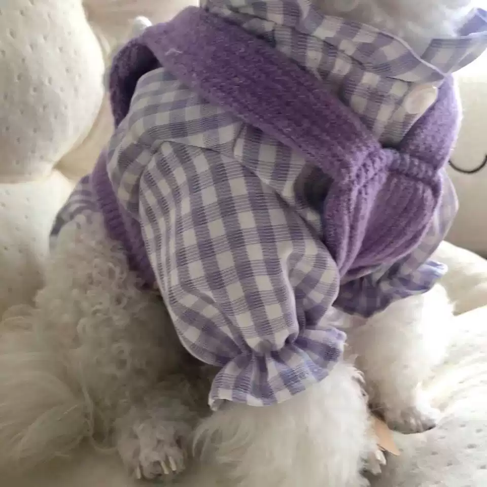 Korean-Style Purple Sweater Vest for Dogs, Plaid Shirt for All Seasons