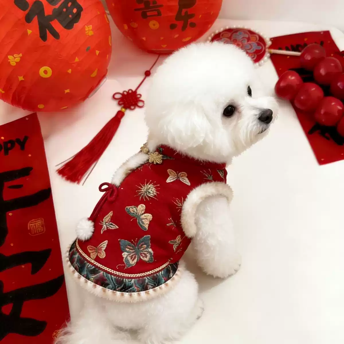 Festive New Year Tang-Style Winter Warm Dog Outfit for Small Dogs