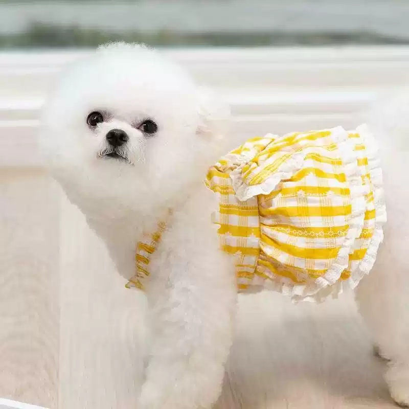 Princess-Style Summer Thin Dress for Small Dogs