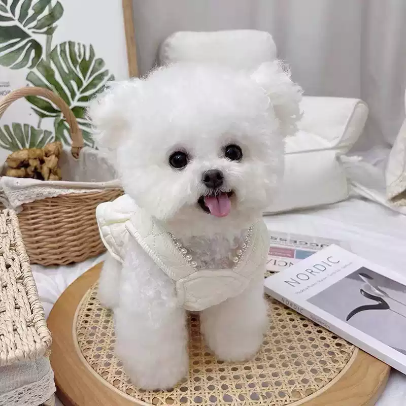 Autumn/Winter Fleece-Lined Bowknot Dress for Small Dogs & Cats - New Chic Style