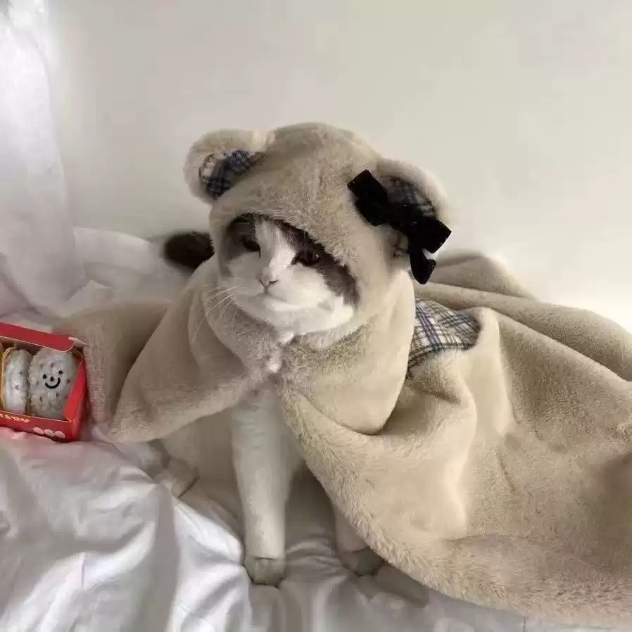 Small Dog Summer Home Robe for Small Breeds