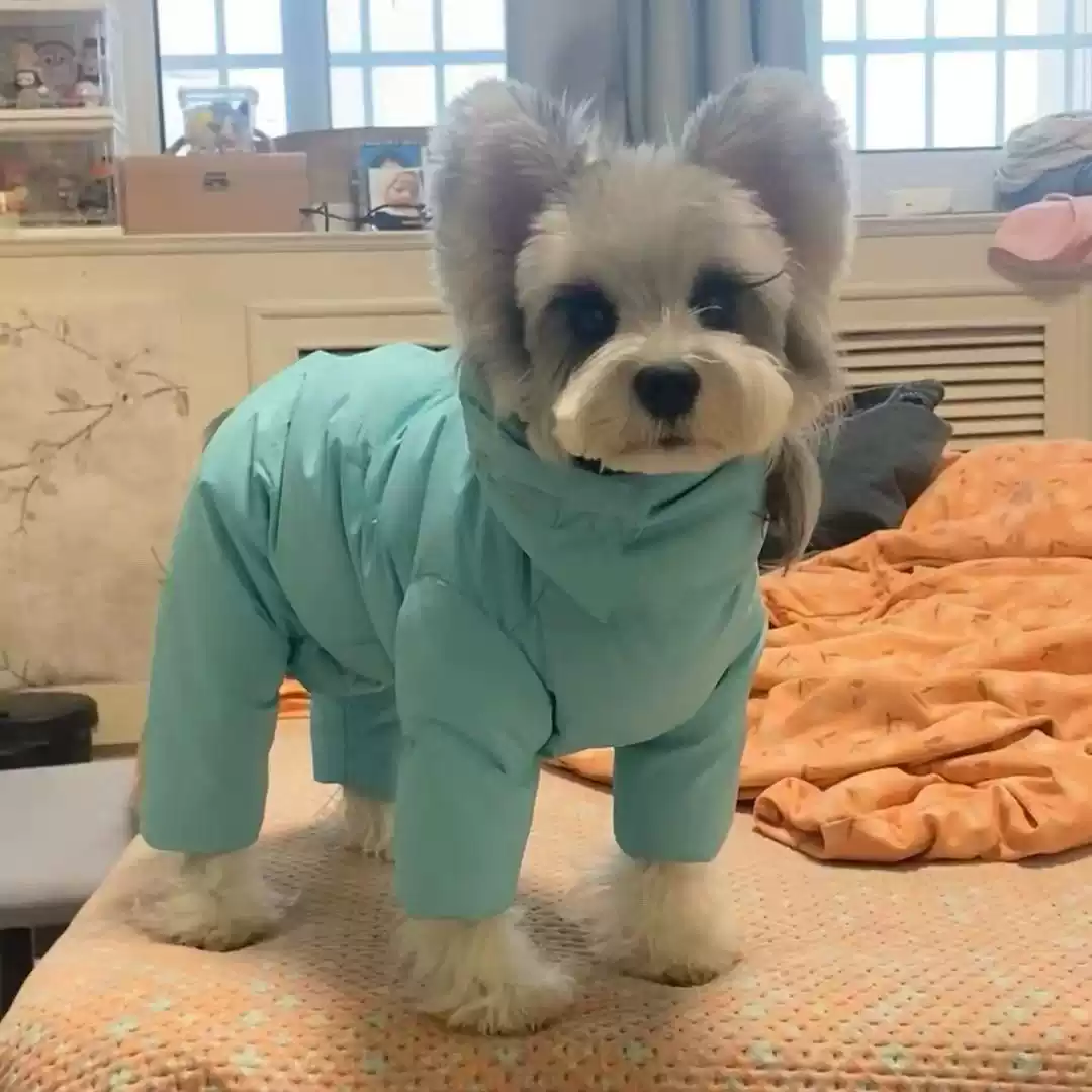 Small Dog Four-Legged Winter Cotton Coat Thickened & Warm for Autumn/Winter