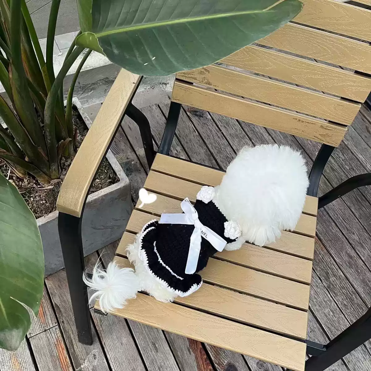 Cute Bowknot Pet Sweater Dress for Cats & Dogs - Winter/Autumn Style