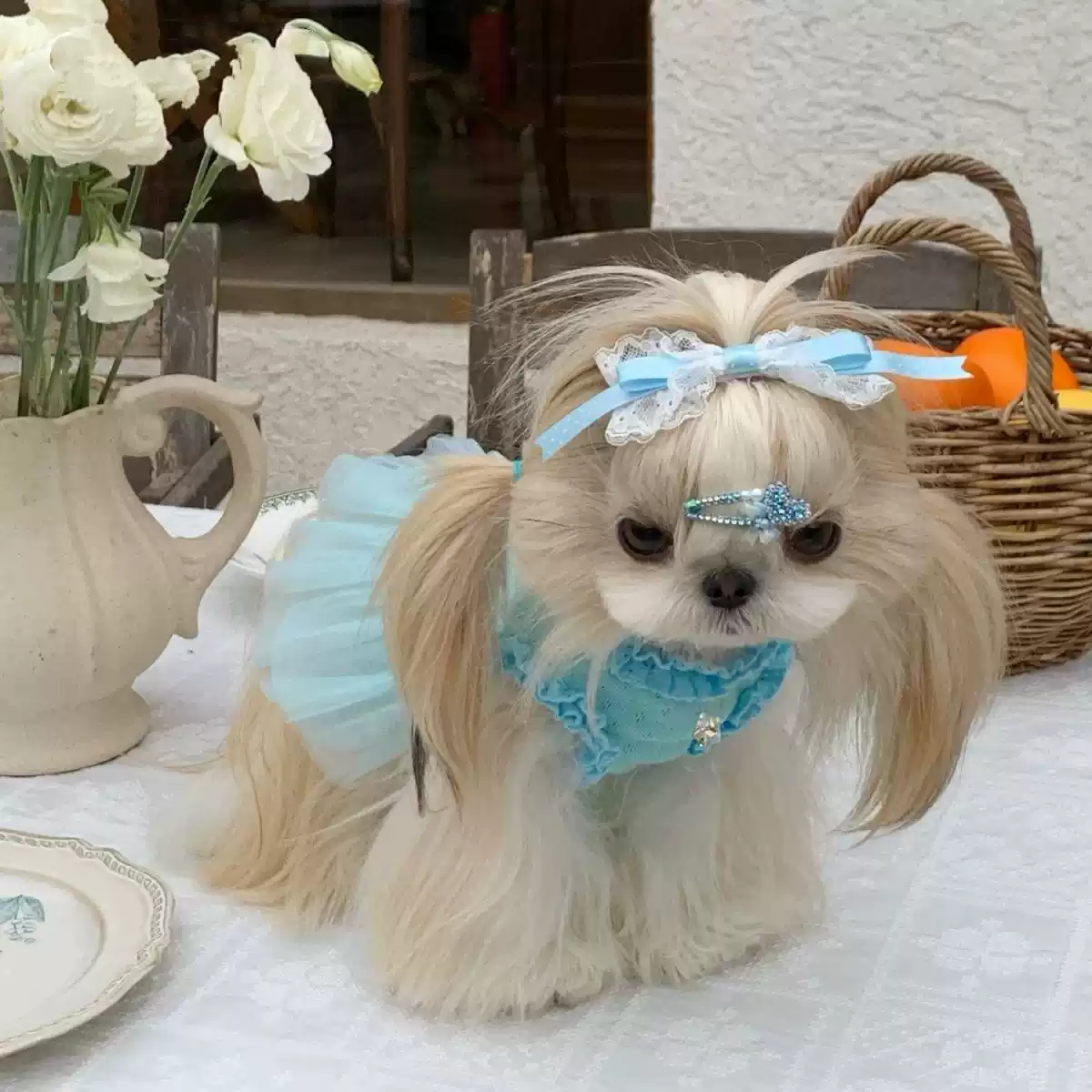 Summer Swan Lake Ballet Skirt for Small Breed Cats & Dogs - Floral Lace, BM Style