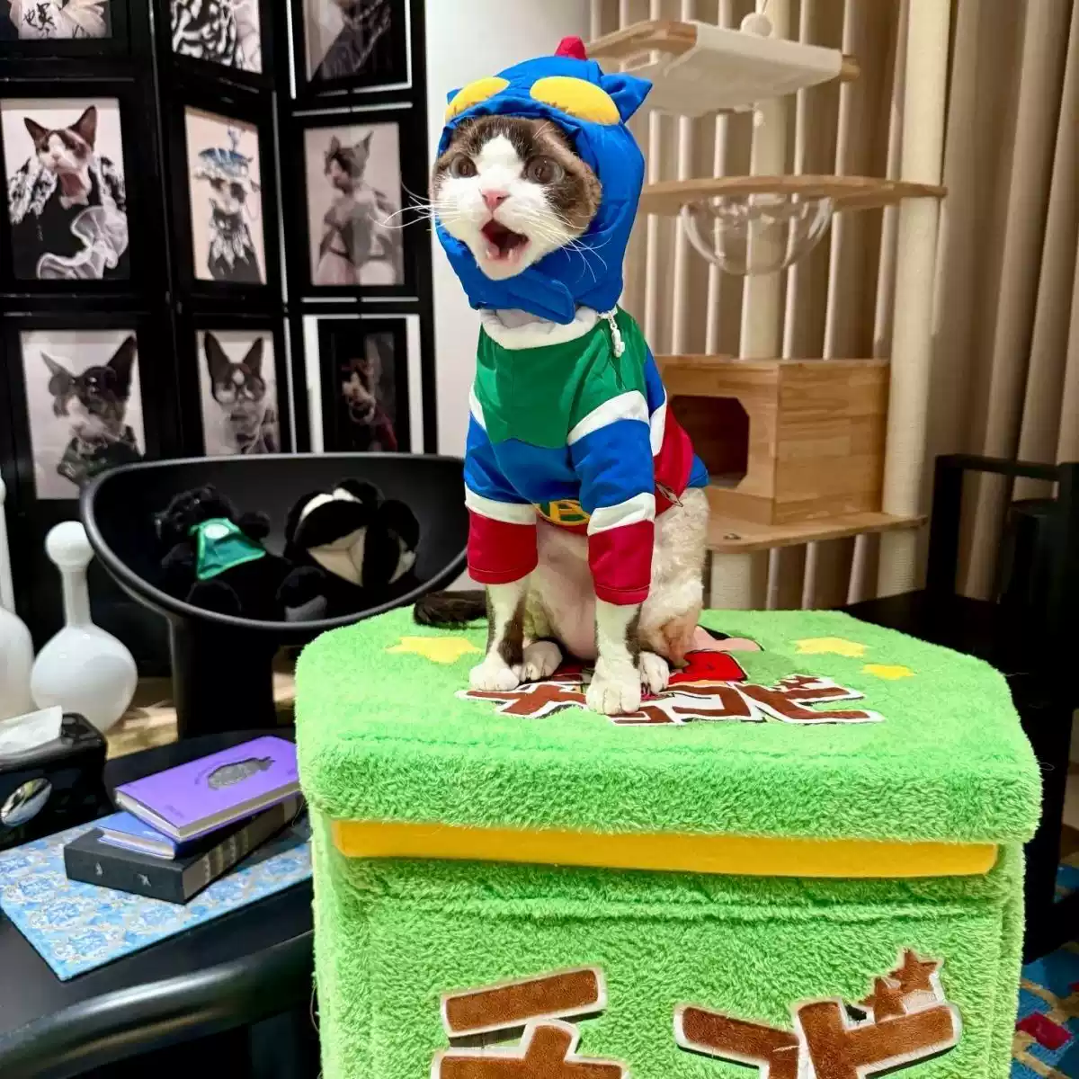 Small Pet Winter Cotton Coat - Thickened Hooded Warm Jacket for Dogs & Cats, Stylish Design for Autumn/Winter