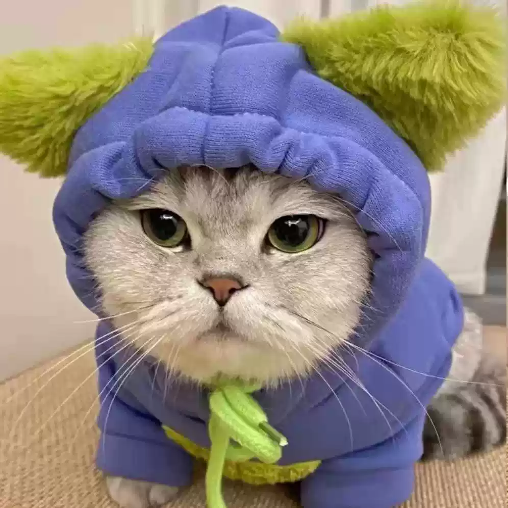 Warm Cute Winter Two-Legged Outfit for Small Pets (Autumn/Winter Clothing)