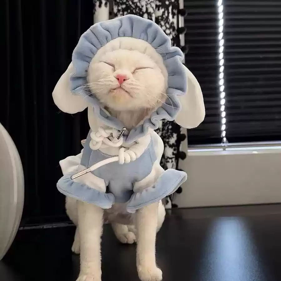 Funny Fleece-Lined Hoodie for Cats & Dogs - Autumn/Winter