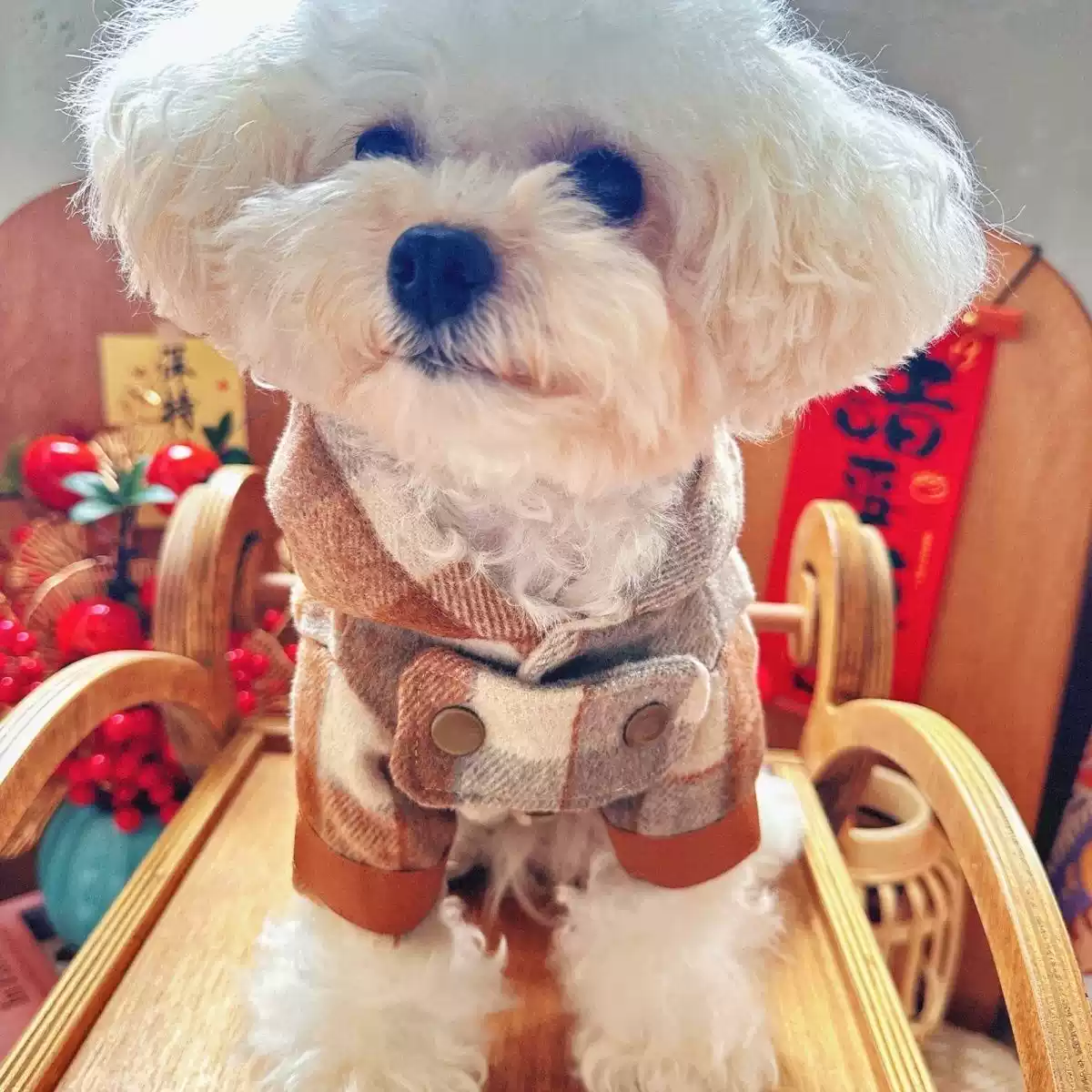 Pet Cat & Dog Hooded Jacket, Autumn & Winter Warm Thickened Coat