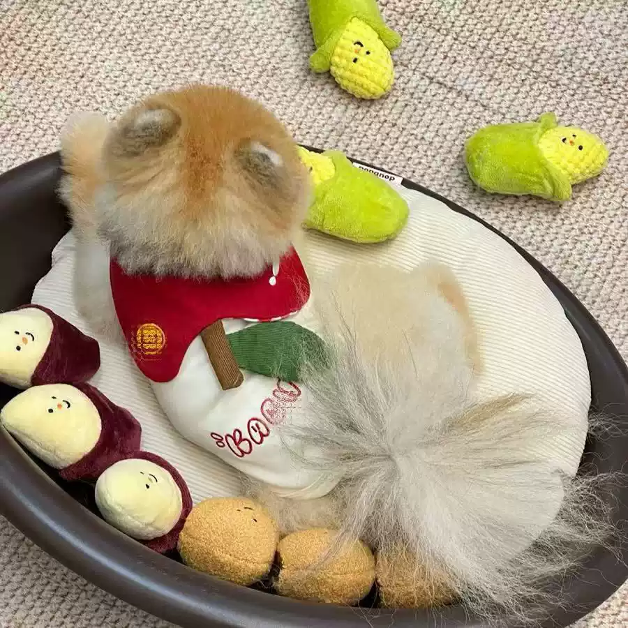 Sleeveless Autumn Winter Homewear for Small Dogs - Cute Style