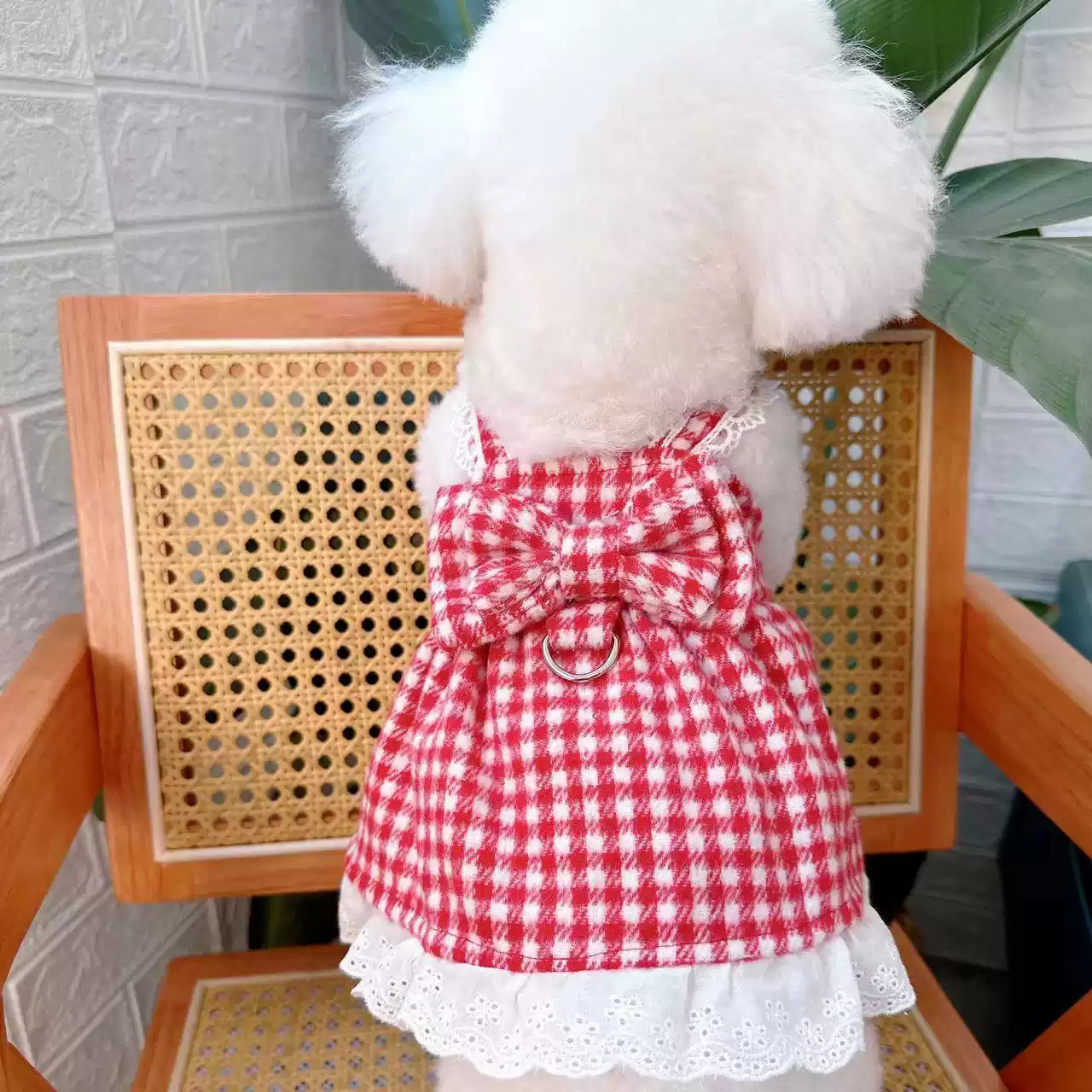 New Autumn & Winter Warm Wool Blend Cardigan Princess Dress with Leash Clip for Dogs & Cats