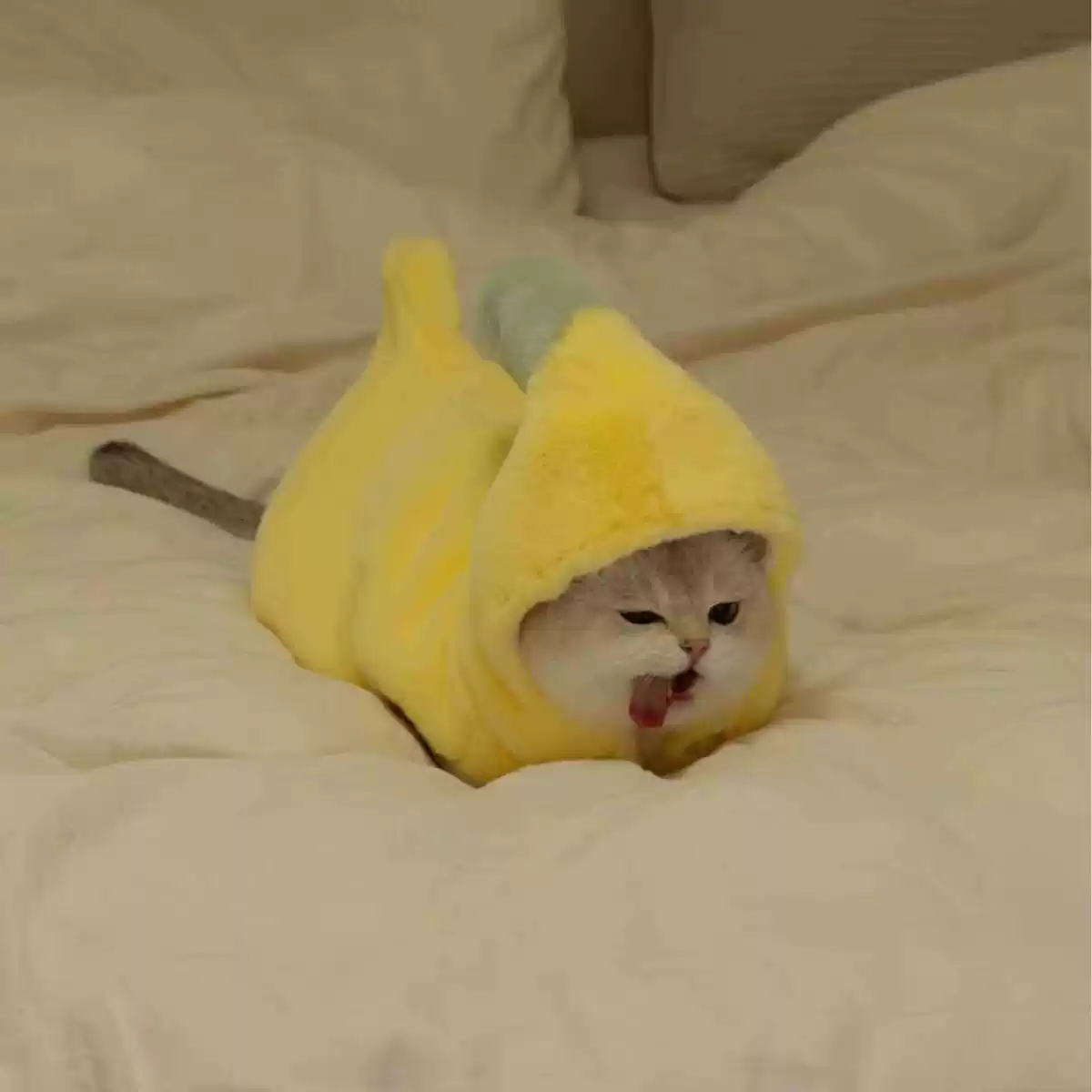 Autumn/Winter Funny Banana-Themed Plush Warm Hooded Dog Costume