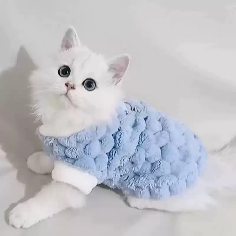 Warm Plush Vest for Small Dogs - Autumn & Winter Pet Clothing