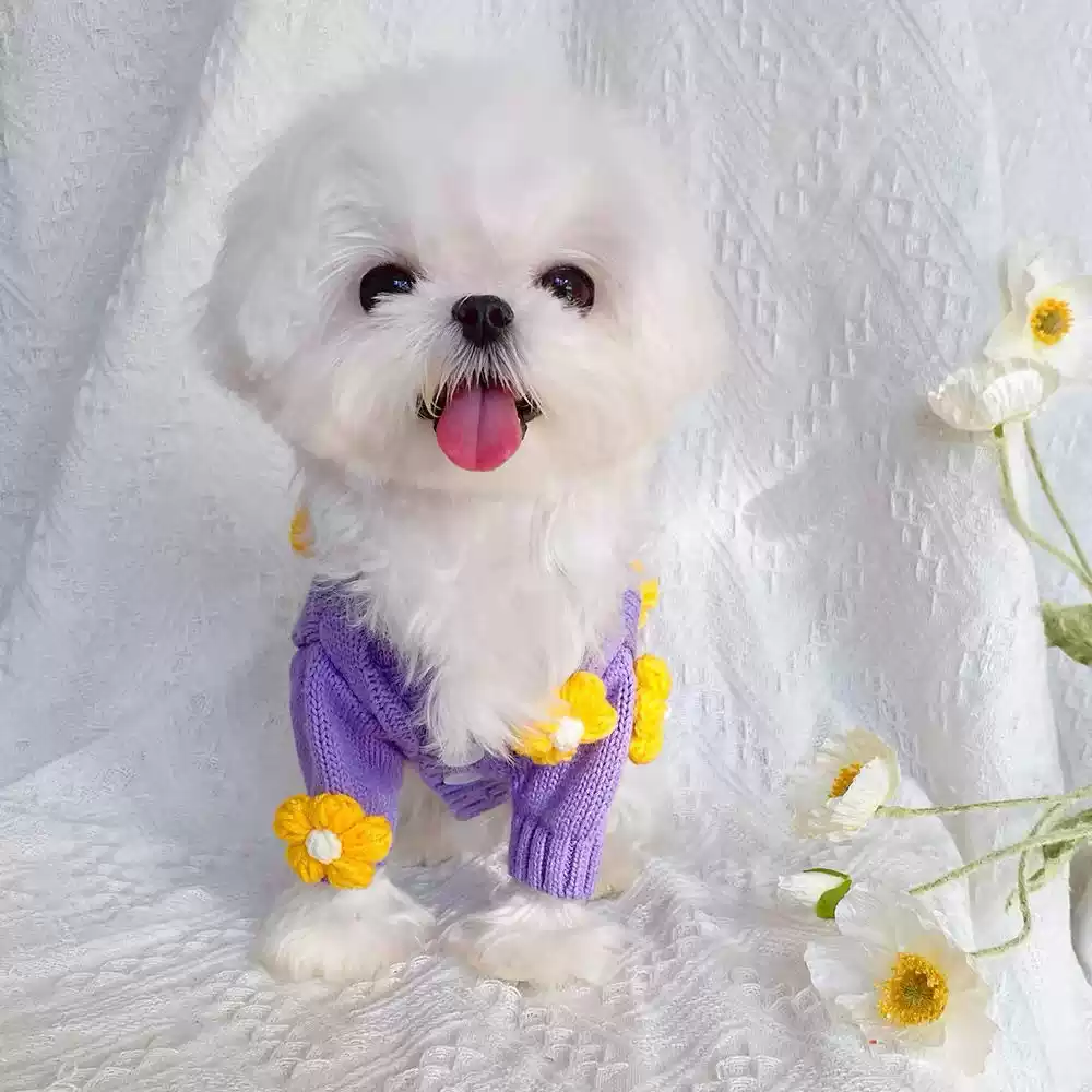 Cute Purple Knit Sweater Cardigan with Flower for Small Dogs & Cats - Autumn/Winter