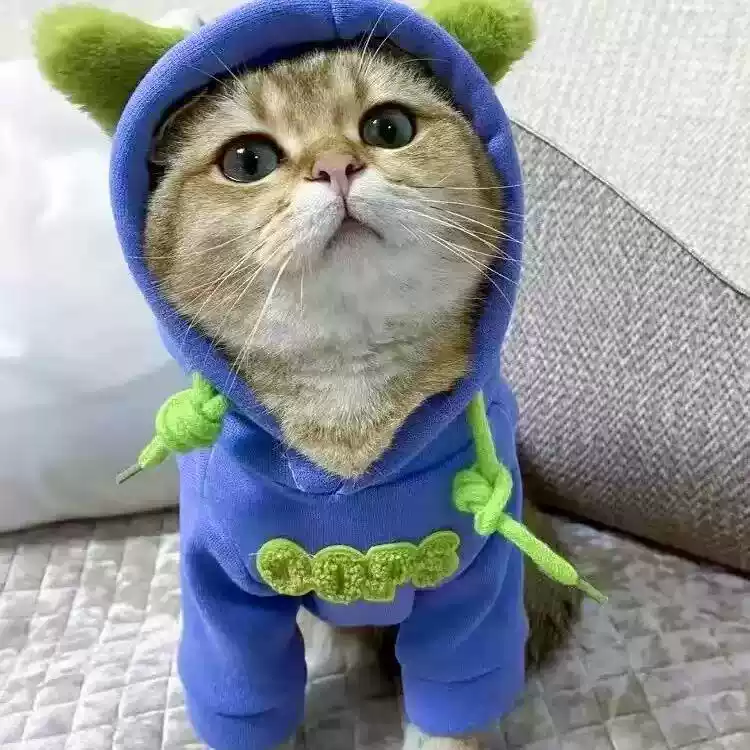 Winter Thickened Pet Sweatshirt - Warm Pullover for Cats & Small Dogs