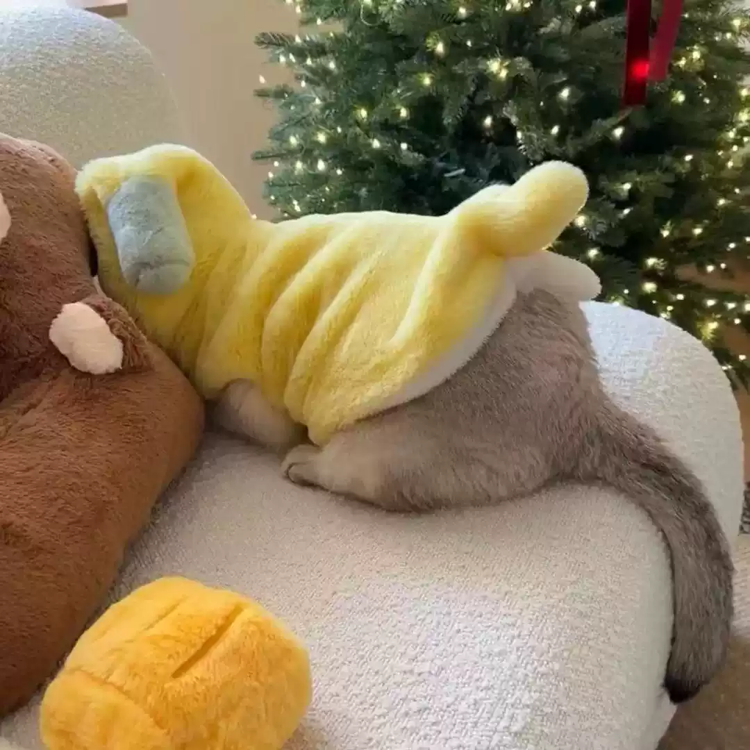 Cat Winter Warm Anti-Shedding Fleece-Lined Costume for Kittens