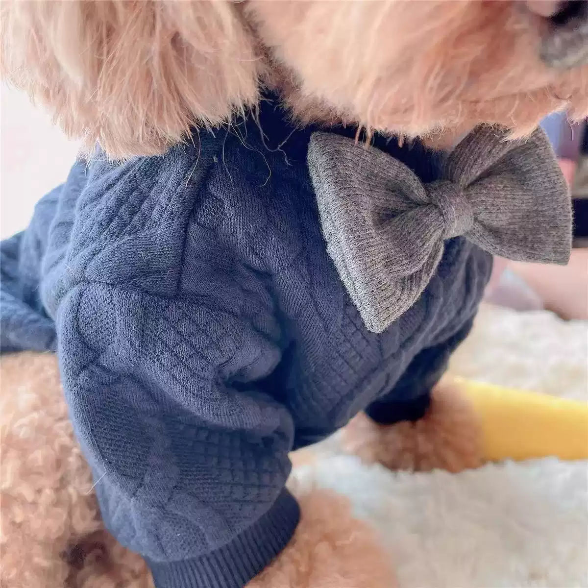 British Gentleman Bow Tie Pet Outfit - Winter/Autumn