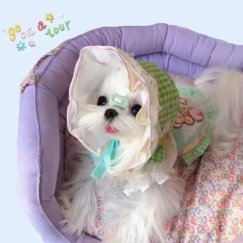 Lightweight Lace Floral Pet Clothes for Spring and Autumn (Suitable for Dogs and Cats)