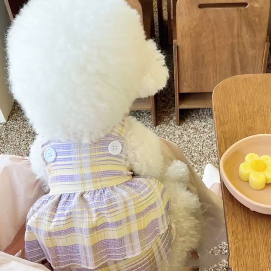 Dog Clothes Thin Spring/Autumn/Summer Pet Small Puppy Camisole Dress