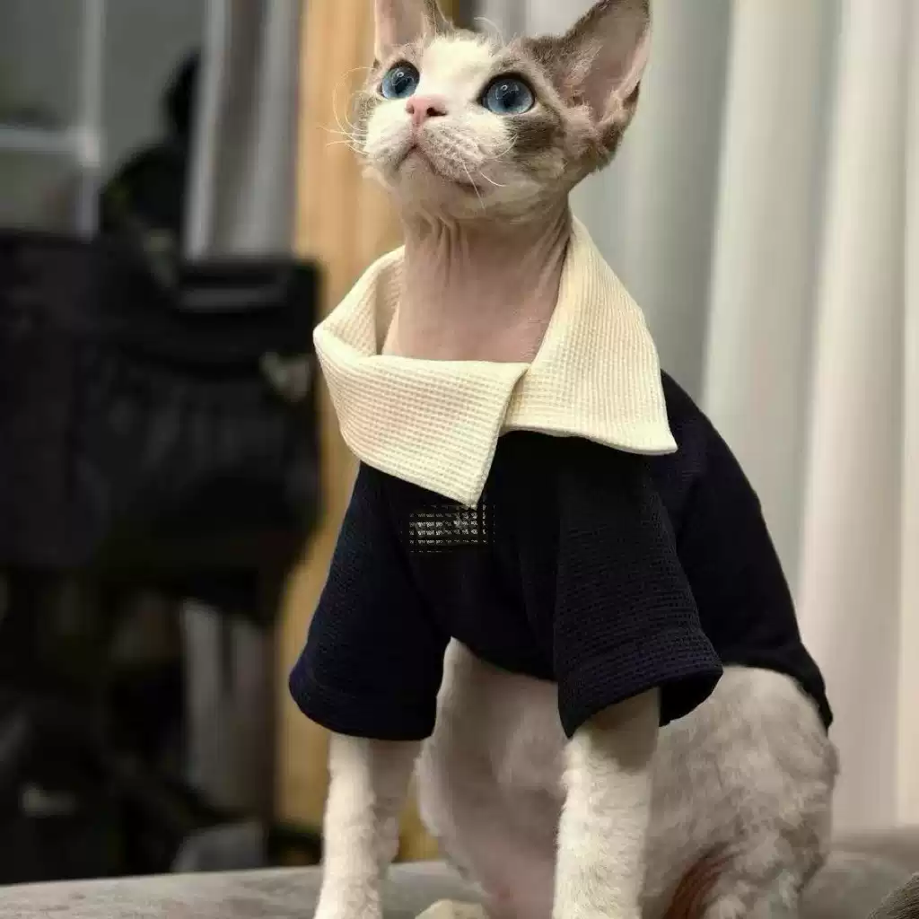 Retro British Style Checked Knitted Sweatshirt for Cats - Warm and Comfortable