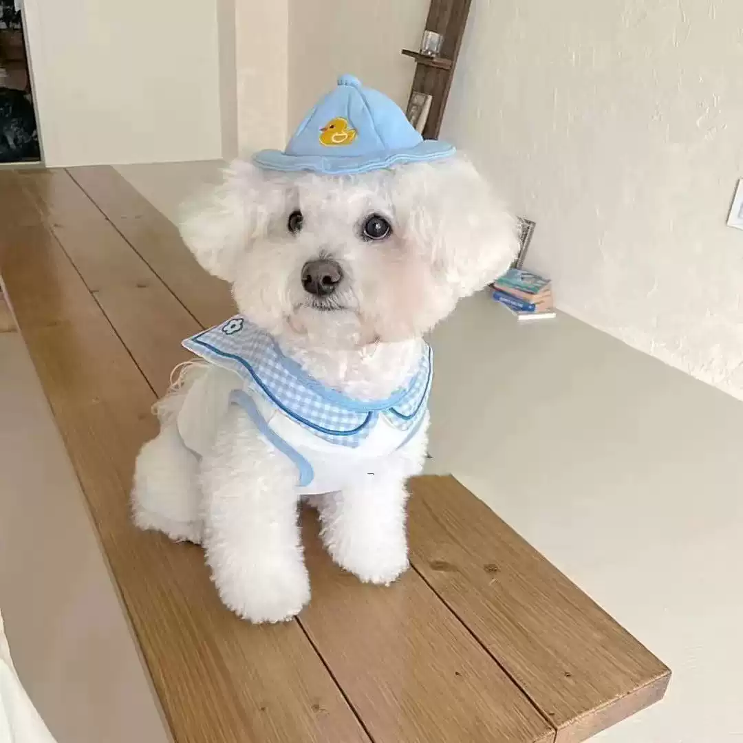 Summer Thin Breathable Cartoon Pet Vest for Dogs & Cats