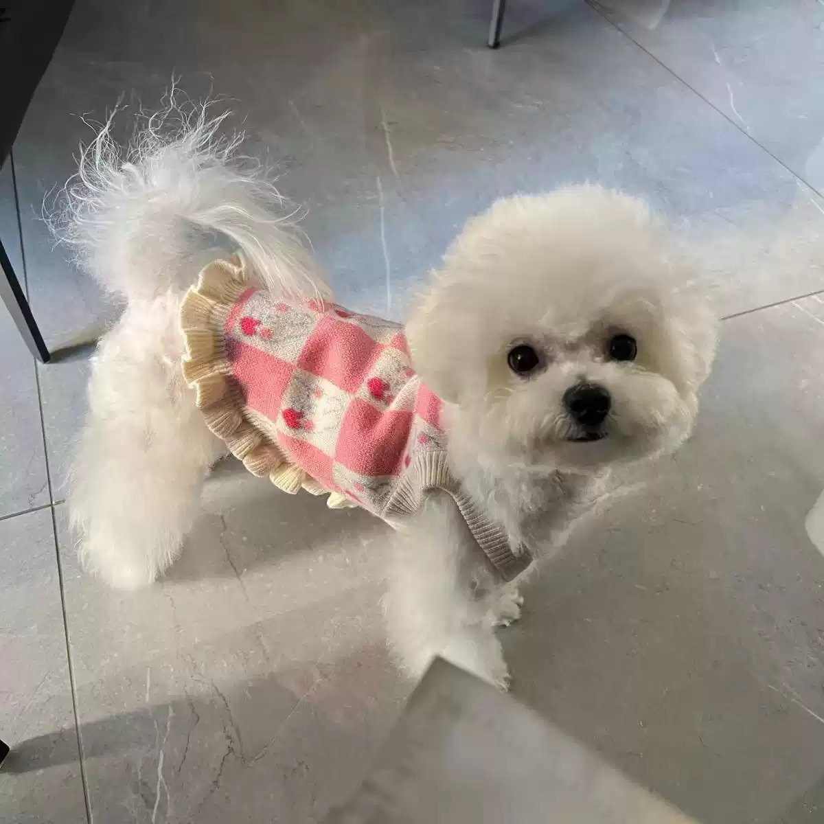 Autumn & Winter Cute Knit Sweater Vest for Dogs & Cats